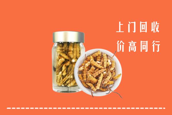 昭通市水富回收冬虫夏草